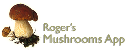 Rogers Mushroom